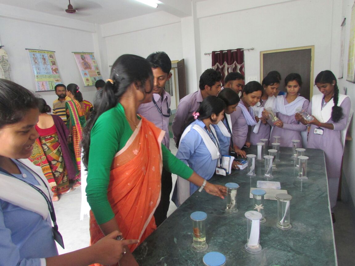 Botany teaching jobs in bangalore